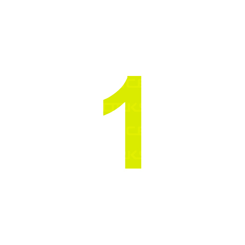MVP CAMS Approved 15cm Day Glo Number 1