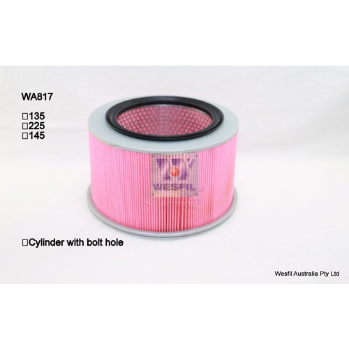 WESFIL AIR FILTER - WA817