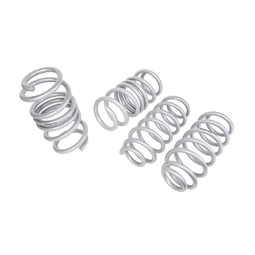WHITELINE Lowering Springs - Tesla Model 3 - RWD
