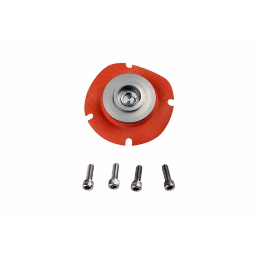 AEROMOTIVE EFI Regulator Service Kit(13004)