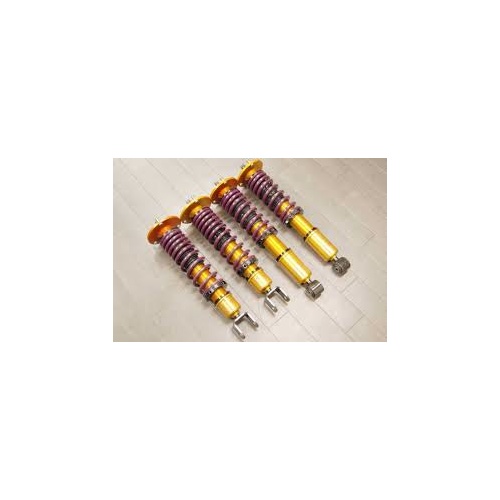 Aragosta Coilover Suspension Type-S Pillow Ball Type for mitsubishi evo x