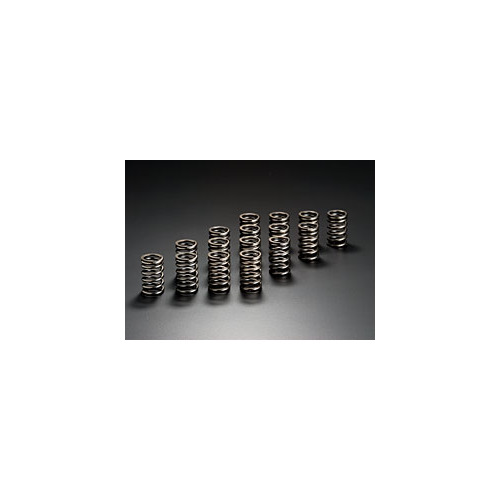 JUN RACING VALVE SPRING for NISSAN Fairlady Z (300ZX) CZ32 (VG30DETT) 7/89-7/00