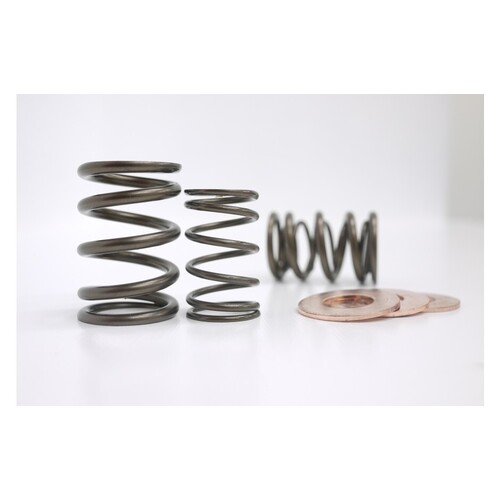 Kelford Cams KVS13D Valve Spring Set for (B18/B20B)