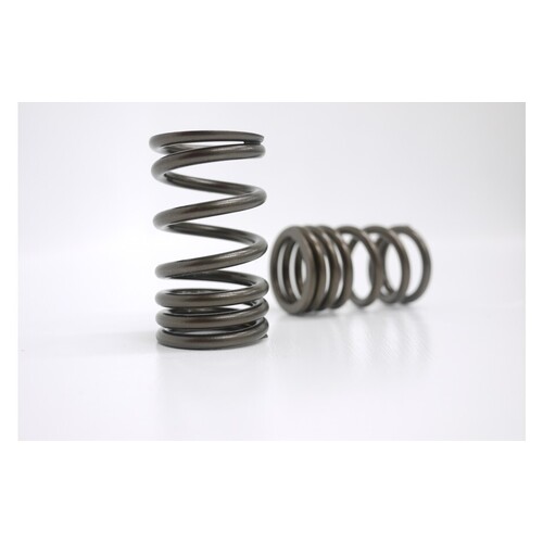Kelford Cams KVS14 Single Valve Spring Set for (A12-A15)