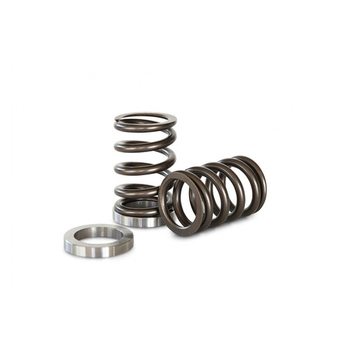 Kelford Cams KVS25-R Valve Spring and Seat Kit for (RB25DE-DET)