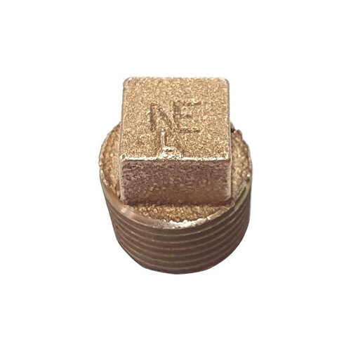 Killer B Brass 1/2" NPT Plug