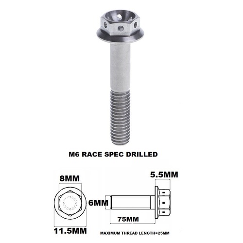 M6X75MM 1.0 THREAD PITCH TITANIUM RACE FLANGE 8MM HEX BOLT GR 5