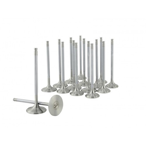 SKUNK2 ALPHA VALVES for HI COMP B SERIES 33MM/28MM