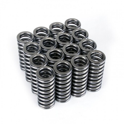 SKUNK2 ALPHA VALVE SPRING SET for SOHC D VTEC