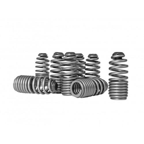 SKUNK2 LOST MOTION ASSEMBLY SPRING KIT for B VTEC