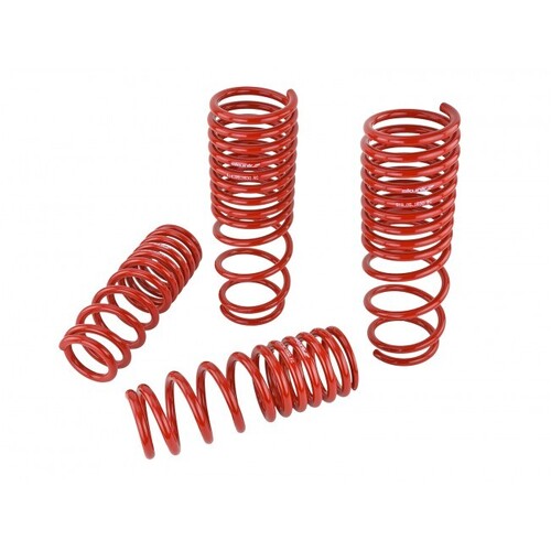 SKUNK2 LOWERING SPRINGS for '90-'97 ACCORD