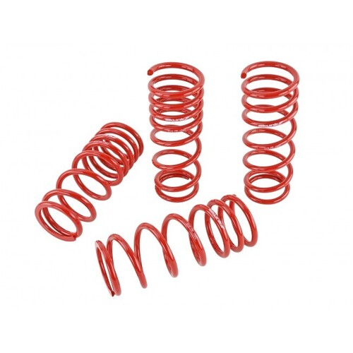 SKUNK2 LOWERING SPRINGS for '00-'09 S2000