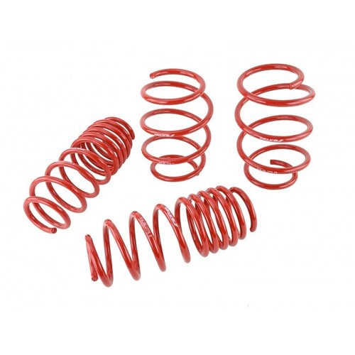 SKUNK2 LOWERING SPRINGS for '16-'17 CIVIC