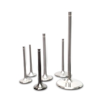 TITANIUM ENGINE VALVES